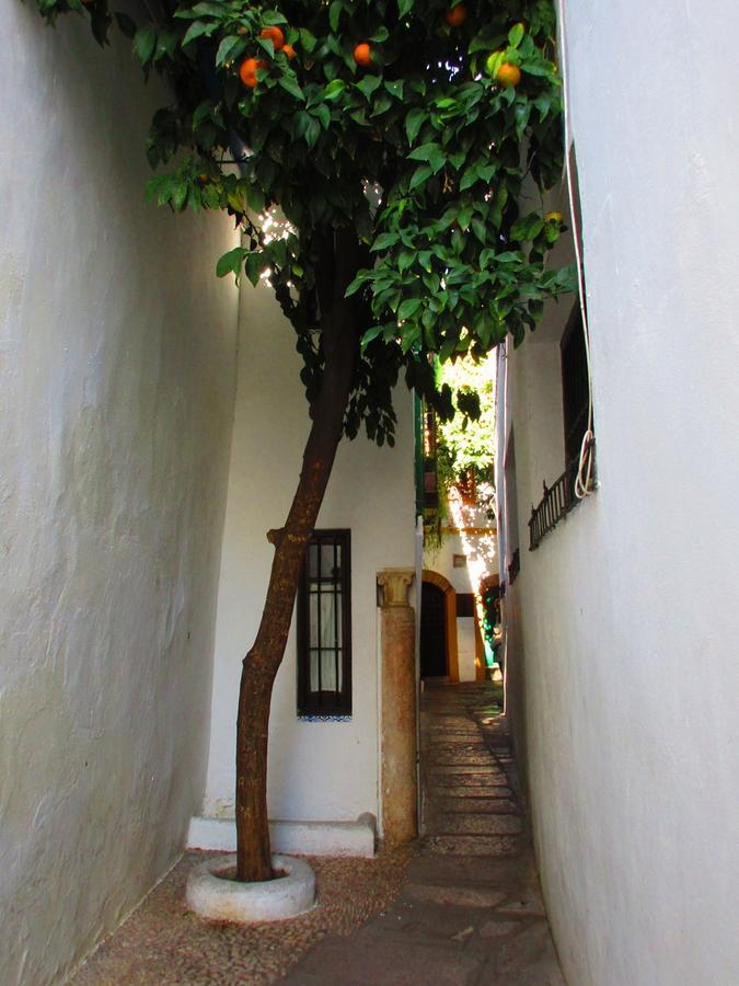 Cordoba Con Encanto Lubi I Ngoại thất bức ảnh